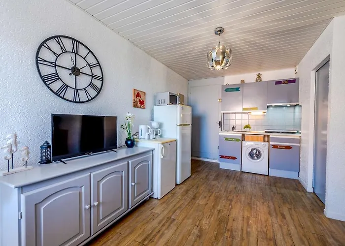 Lägenhet Front De Mer-24 By Interhome Le Barcarès